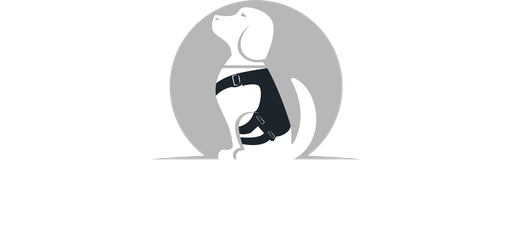 Paws For Purpose · Snowy Pines
