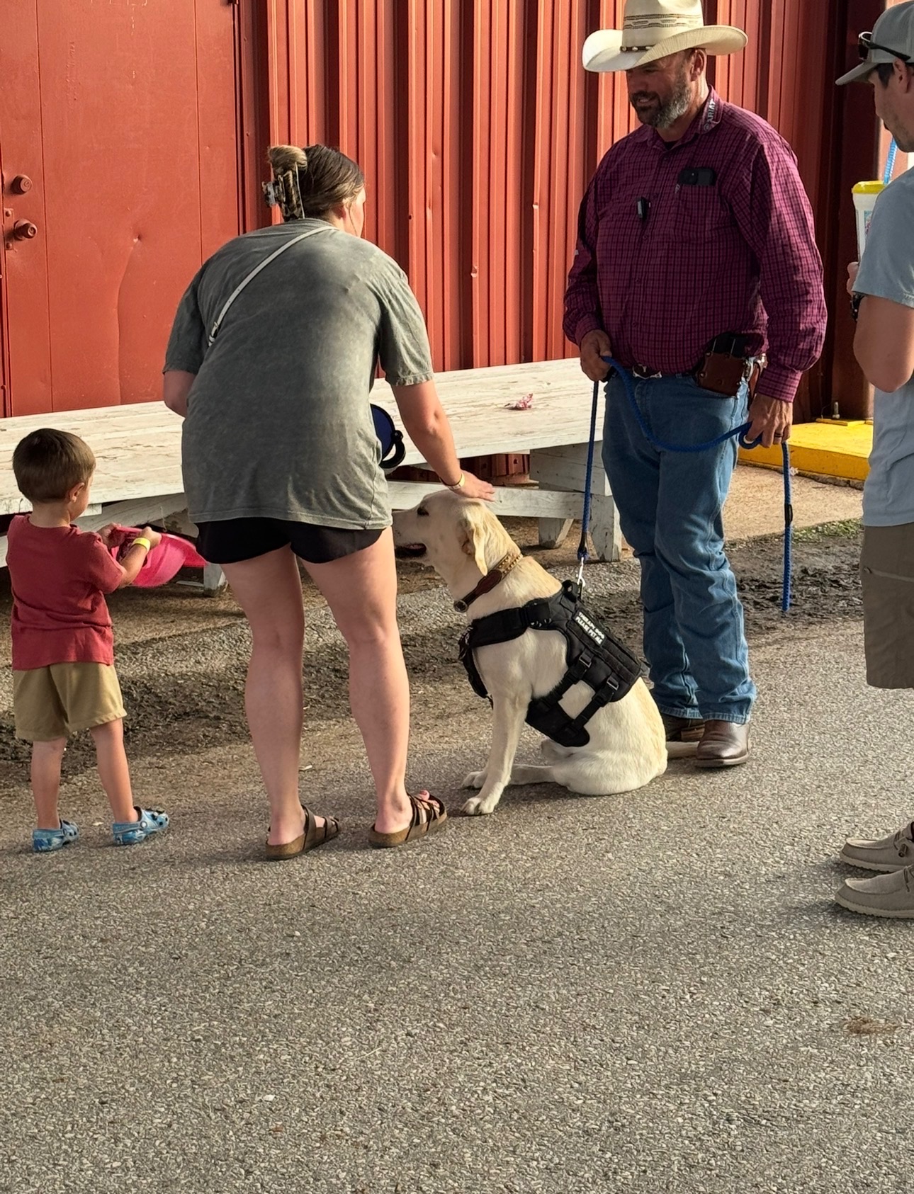 Rufus in his Sheriff's Office therapy-dog vest, sitting attentively while a woman and small child greet him