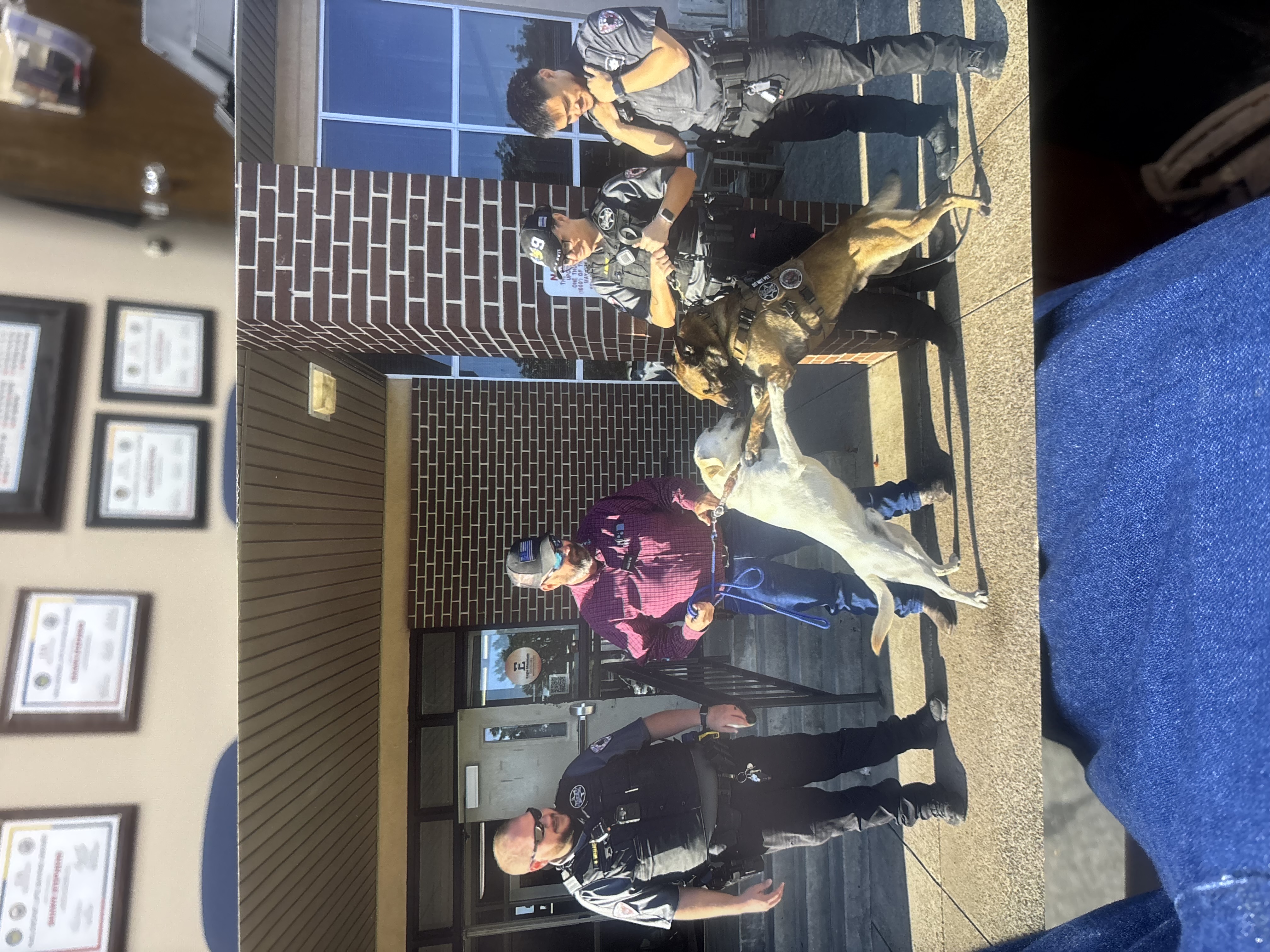 Inside the Sheriff's Office — Rufus alongside the agency's patrol K9 with deputies on duty