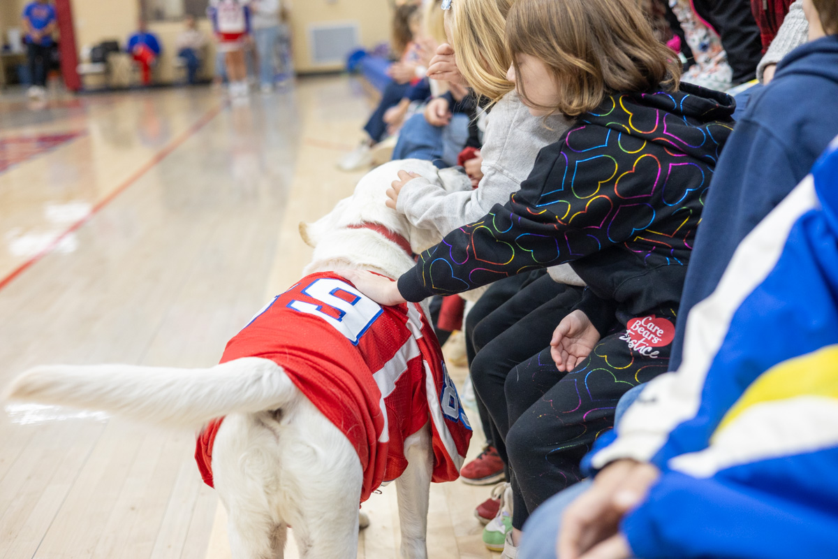 Bear, therapy dog at Melbourne High School