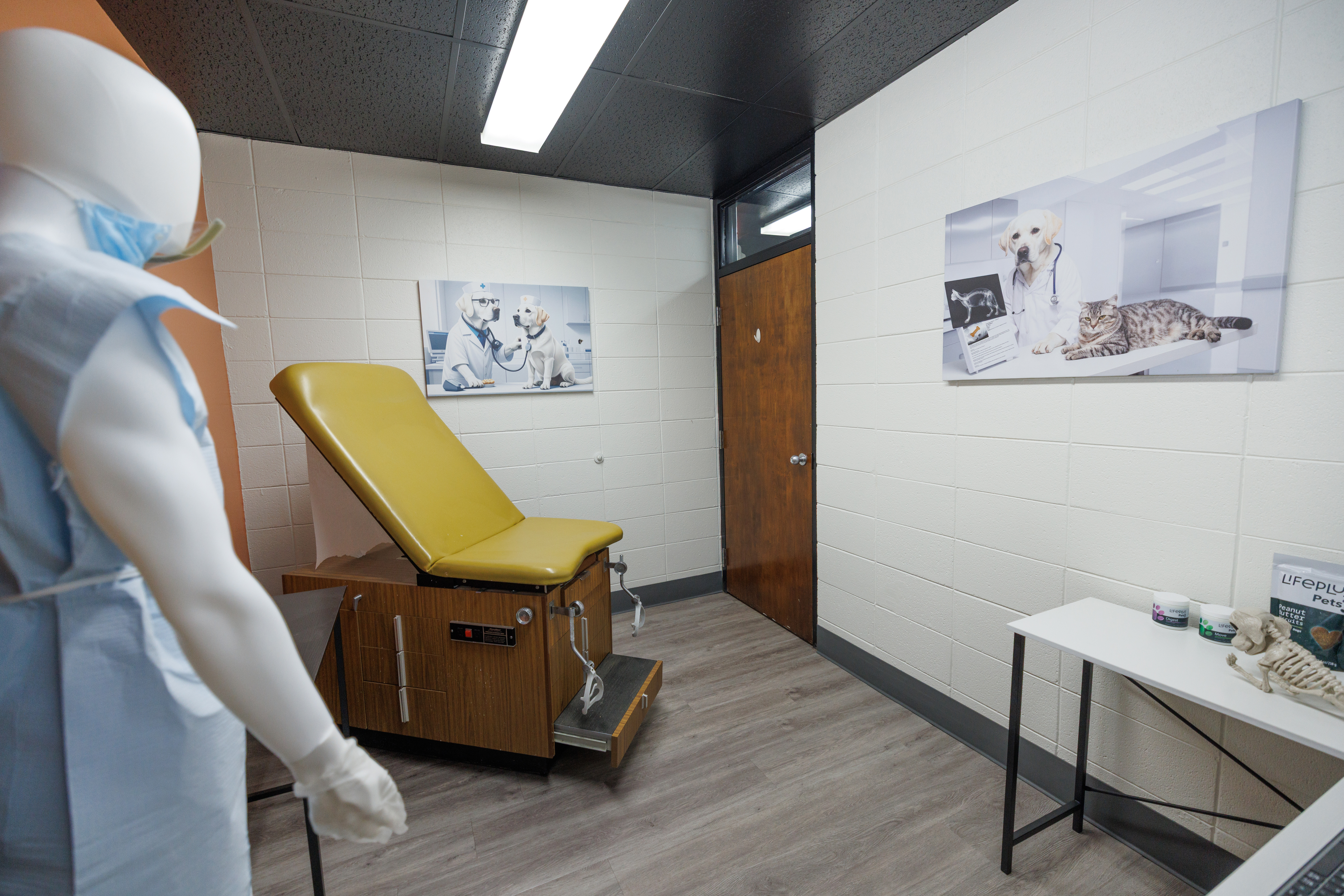 Medical environments simulator