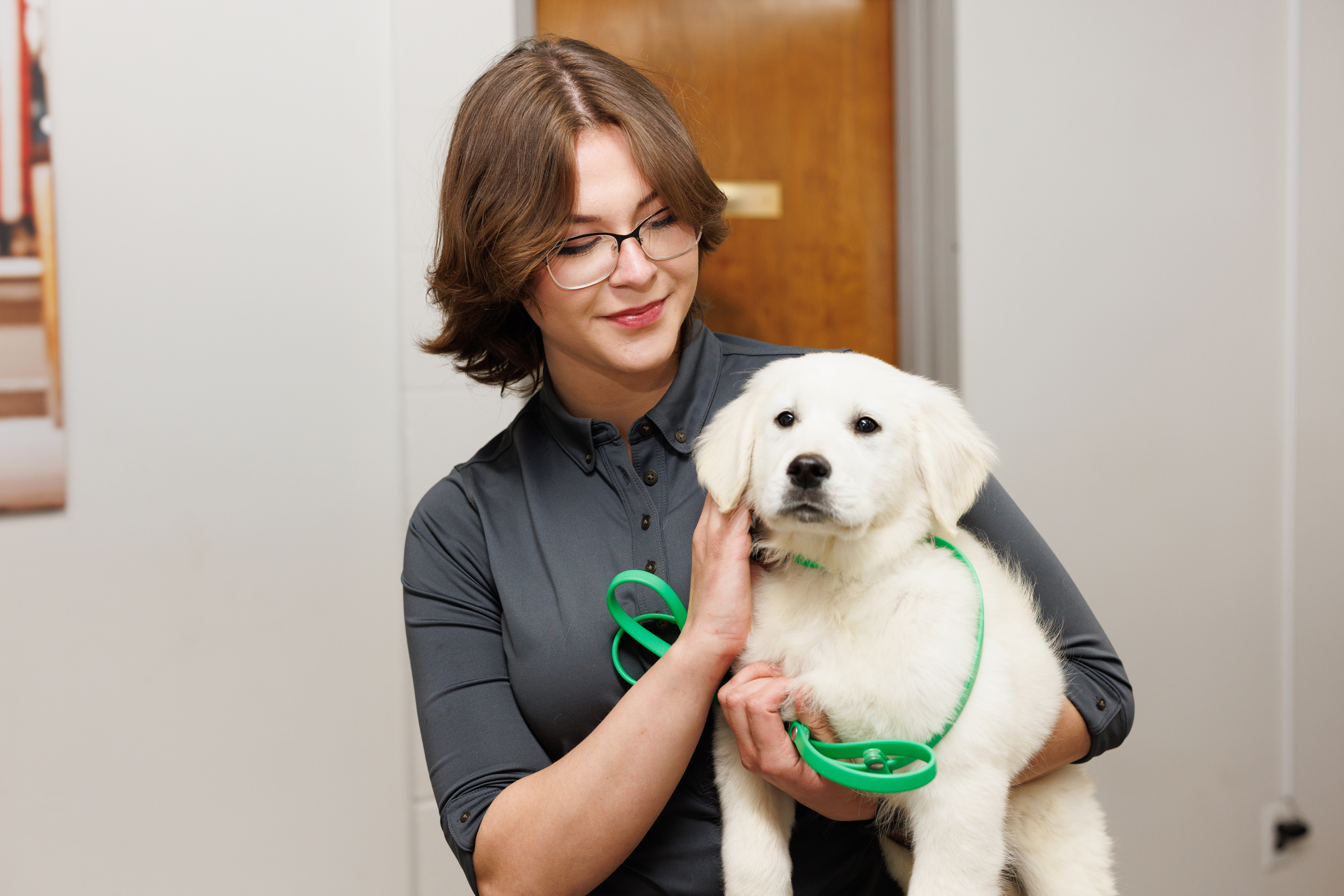 A trainer holding a young Labrador puppy